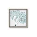 Picture of Teal Coral I  _GroupedProduct_Square_Canvas_Framed_