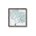 Picture of Teal Coral I  _GroupedProduct_Square_Canvas_Framed_