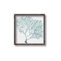 Picture of Teal Coral I  _GroupedProduct_Square_Canvas_Framed_