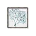 Picture of Teal Coral I  _GroupedProduct_Square_Canvas_Framed_