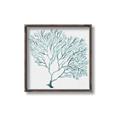 Picture of Teal Coral I  _GroupedProduct_Square_Canvas_Framed_