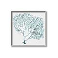Picture of Teal Coral I  _GroupedProduct_Square_Canvas_Framed_