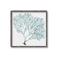 Picture of Teal Coral I  _GroupedProduct_Square_Canvas_Framed_