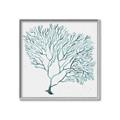Picture of Teal Coral I  _GroupedProduct_Square_Canvas_Framed_