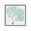 Picture of Teal Coral I  _GroupedProduct_Square_Canvas_Framed_