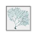 Picture of Teal Coral I  _GroupedProduct_Square_Canvas_Framed_