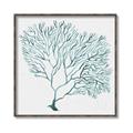 Picture of Teal Coral I  _GroupedProduct_Square_Canvas_Framed_