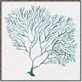 Picture of Teal Coral I  _GroupedProduct_Square_Canvas_Framed_