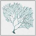 Picture of Teal Coral I  _GroupedProduct_Square_Canvas_Framed_