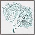 Picture of Teal Coral I  _GroupedProduct_Square_Canvas_Framed_