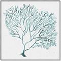 Picture of Teal Coral I  _GroupedProduct_Square_Canvas_Framed_
