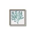 Picture of Teal Coral II  _GroupedProduct_Square_Canvas_Framed_