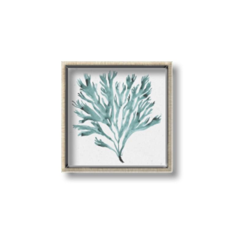 Picture of Teal Coral II  _GroupedProduct_Square_Canvas_Framed_