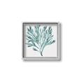 Picture of Teal Coral II  _GroupedProduct_Square_Canvas_Framed_
