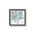 Picture of Teal Coral II  _GroupedProduct_Square_Canvas_Framed_