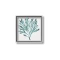 Picture of Teal Coral II  _GroupedProduct_Square_Canvas_Framed_