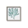 Picture of Teal Coral II  _GroupedProduct_Square_Canvas_Framed_