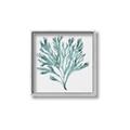 Picture of Teal Coral II  _GroupedProduct_Square_Canvas_Framed_