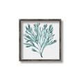 Picture of Teal Coral II  _GroupedProduct_Square_Canvas_Framed_