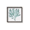 Picture of Teal Coral II  _GroupedProduct_Square_Canvas_Framed_