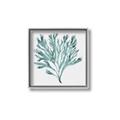 Picture of Teal Coral II  _GroupedProduct_Square_Canvas_Framed_