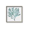 Picture of Teal Coral II  _GroupedProduct_Square_Canvas_Framed_