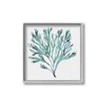 Picture of Teal Coral II  _GroupedProduct_Square_Canvas_Framed_
