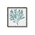 Picture of Teal Coral II  _GroupedProduct_Square_Canvas_Framed_
