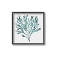 Picture of Teal Coral II  _GroupedProduct_Square_Canvas_Framed_