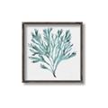 Picture of Teal Coral II  _GroupedProduct_Square_Canvas_Framed_