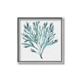 Picture of Teal Coral II  _GroupedProduct_Square_Canvas_Framed_
