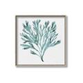 Picture of Teal Coral II  _GroupedProduct_Square_Canvas_Framed_