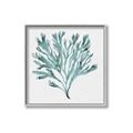 Picture of Teal Coral II  _GroupedProduct_Square_Canvas_Framed_