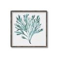 Picture of Teal Coral II  _GroupedProduct_Square_Canvas_Framed_