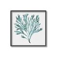 Picture of Teal Coral II  _GroupedProduct_Square_Canvas_Framed_