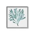 Picture of Teal Coral II  _GroupedProduct_Square_Canvas_Framed_