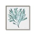 Picture of Teal Coral II  _GroupedProduct_Square_Canvas_Framed_
