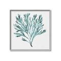 Picture of Teal Coral II  _GroupedProduct_Square_Canvas_Framed_