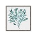 Picture of Teal Coral II  _GroupedProduct_Square_Canvas_Framed_