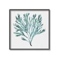 Picture of Teal Coral II  _GroupedProduct_Square_Canvas_Framed_