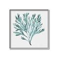 Picture of Teal Coral II  _GroupedProduct_Square_Canvas_Framed_