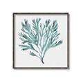 Picture of Teal Coral II  _GroupedProduct_Square_Canvas_Framed_