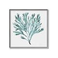 Picture of Teal Coral II  _GroupedProduct_Square_Canvas_Framed_