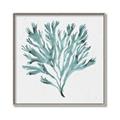 Picture of Teal Coral II  _GroupedProduct_Square_Canvas_Framed_