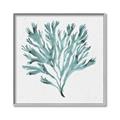 Picture of Teal Coral II  _GroupedProduct_Square_Canvas_Framed_