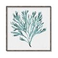Picture of Teal Coral II  _GroupedProduct_Square_Canvas_Framed_