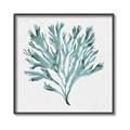 Picture of Teal Coral II  _GroupedProduct_Square_Canvas_Framed_