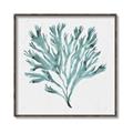 Picture of Teal Coral II  _GroupedProduct_Square_Canvas_Framed_