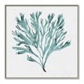 Picture of Teal Coral II  _GroupedProduct_Square_Canvas_Framed_