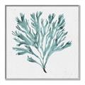 Picture of Teal Coral II  _GroupedProduct_Square_Canvas_Framed_
